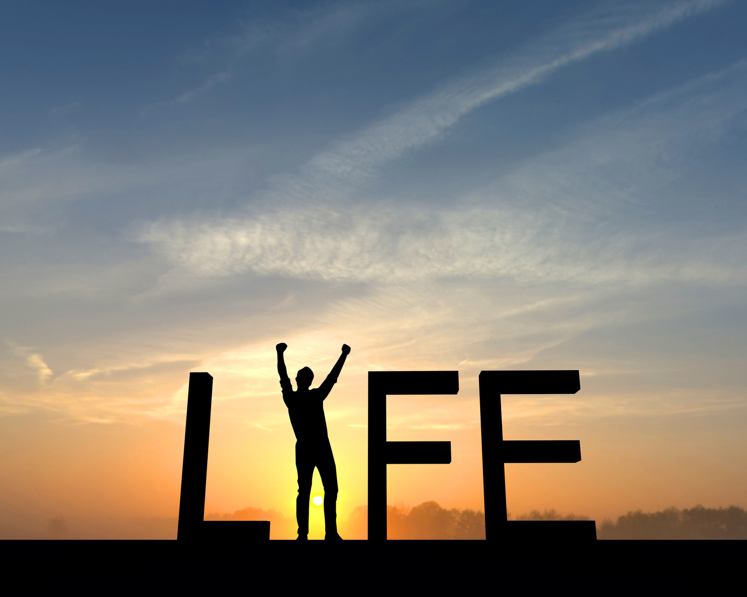 Life success silhouette